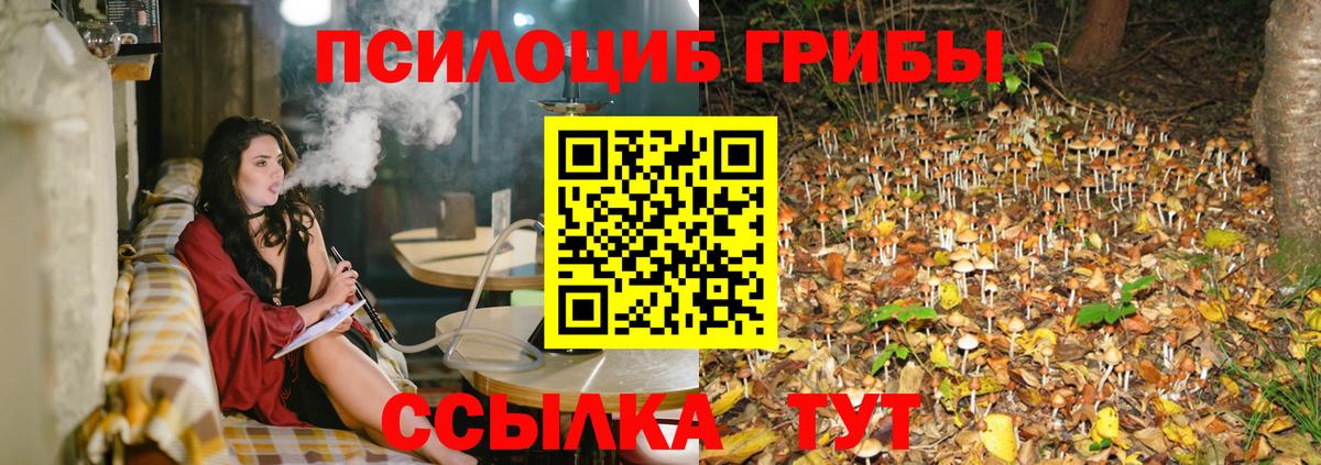Галлюциногенные грибы Magic Shrooms Усть-Джегута