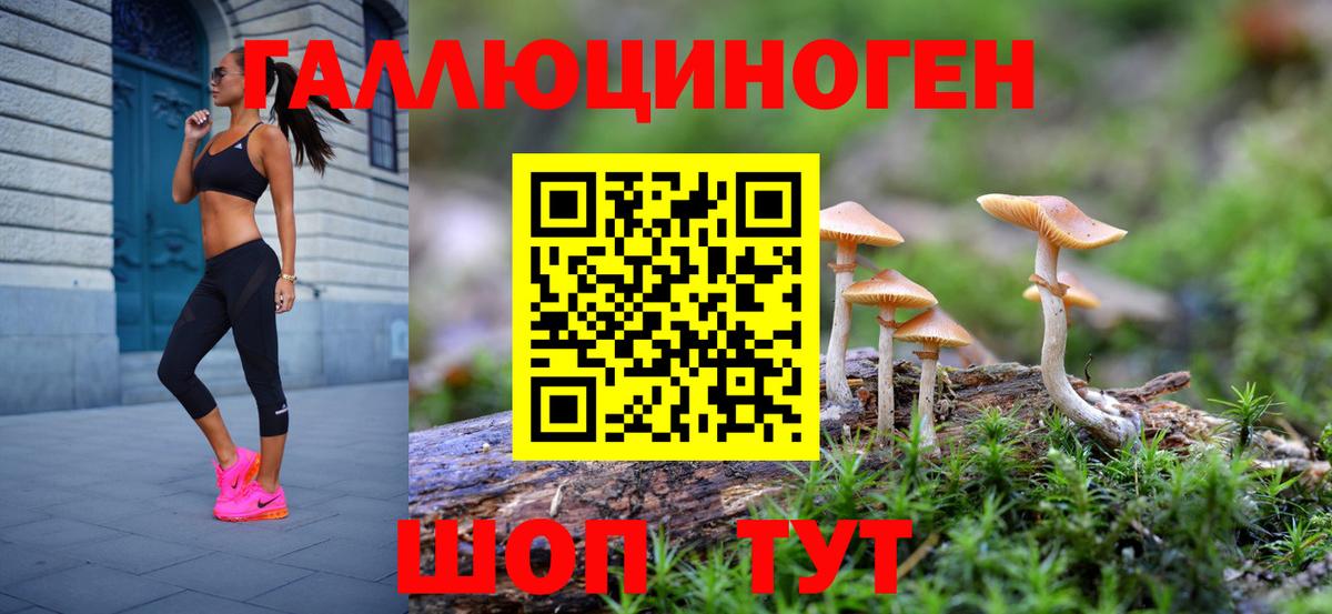 Псилоцибиновые грибы ЛСД  Псилоцибиновые грибы Psilocybe  Вход с VPN  Усть-Джегута 