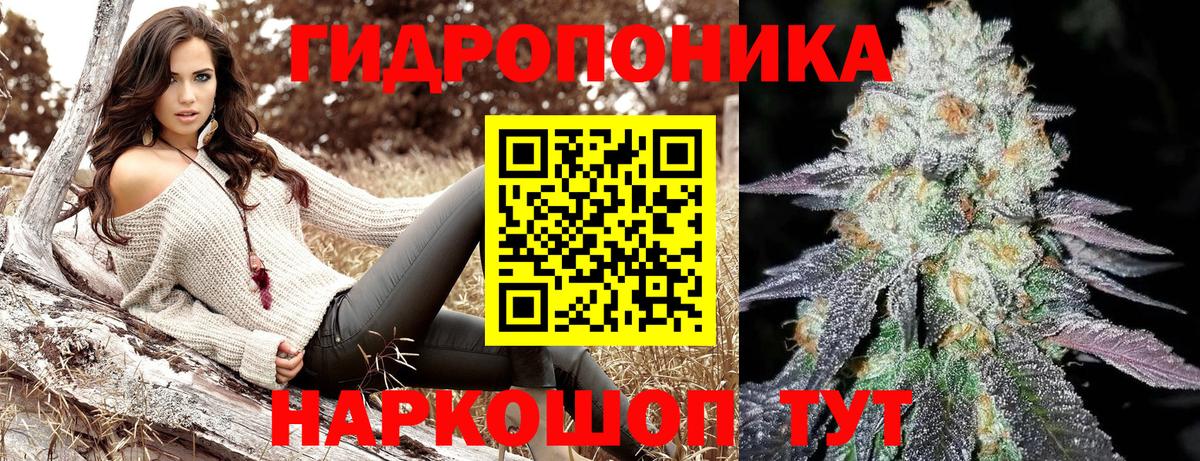 МАРИХУАНА сатива  Вход с VPN  МАРИХУАНА тримм  Канабис White Widow  Шишки марихуана SATIVA & INDICA  Усть-Джегута 